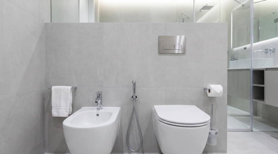 Bidet vs. Dusch-WC: Welche Lösung passt zu Ihrem Bad?
