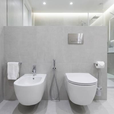 Bidet vs. Dusch-WC: Welche Lösung passt zu Ihrem Bad?