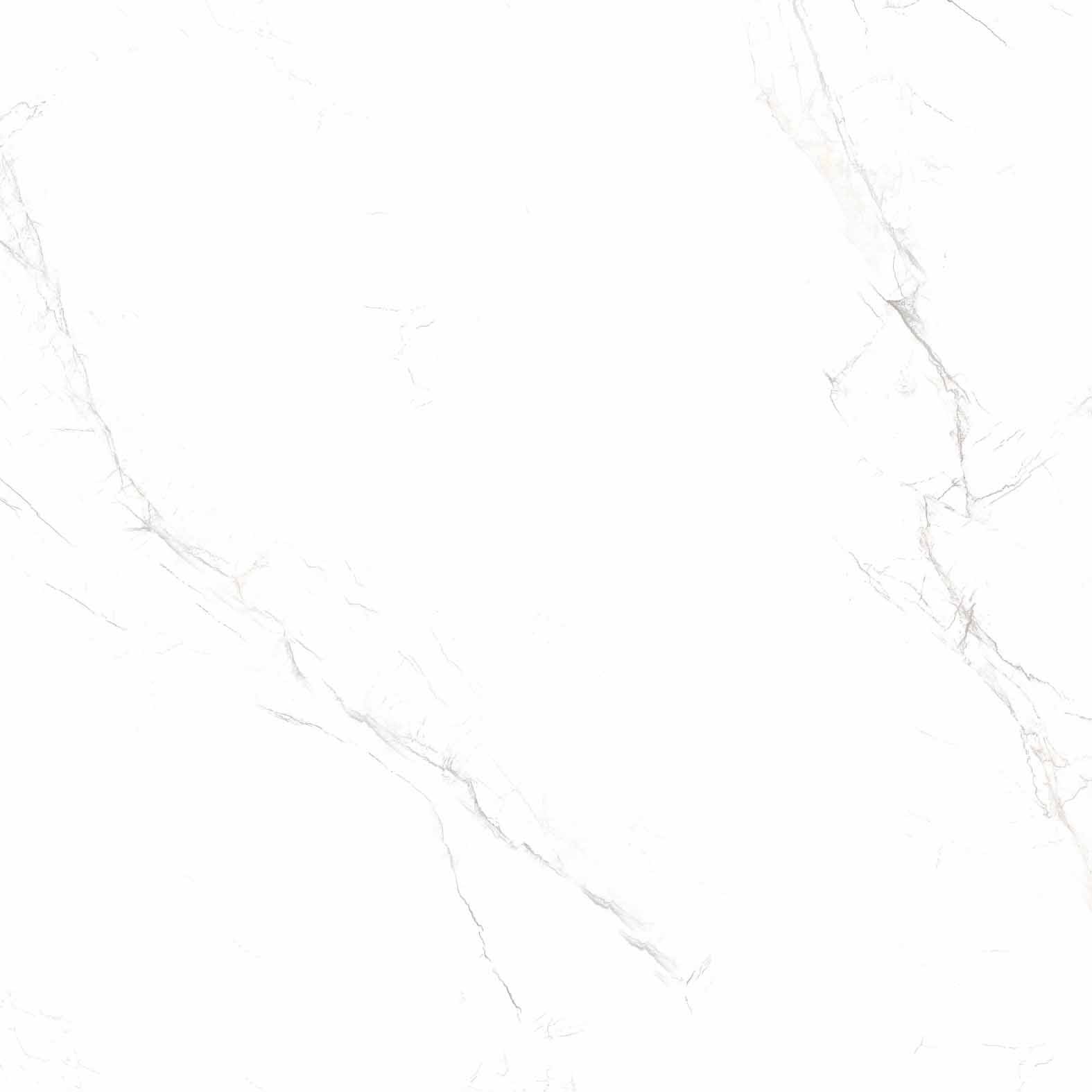 Glasiertes Feinsteinzeug Carrara Grey, glänzend, 80x80 cm – 1. Wahl